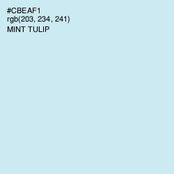 #CBEAF1 - Mint Tulip Color Image